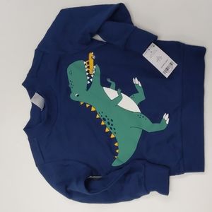 Dino sweatshirt